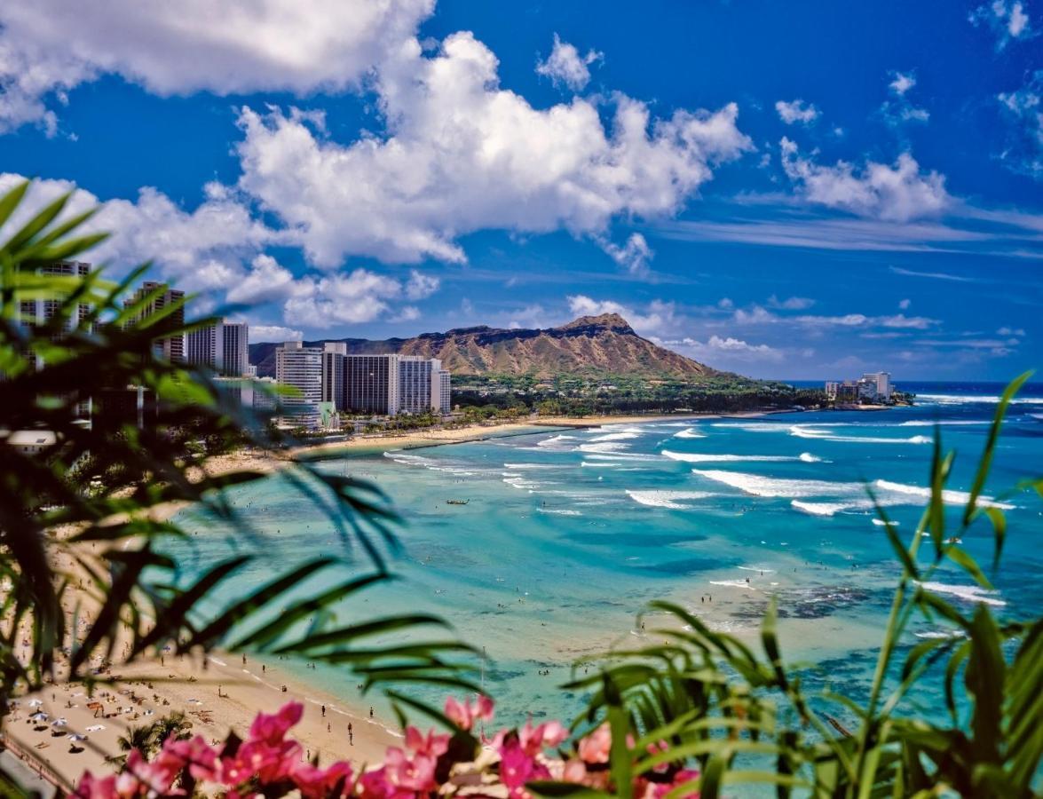 Diamond Head Views Retreat With Free Parking & Near Waikiki Beach! Honolulu Kültér fotó