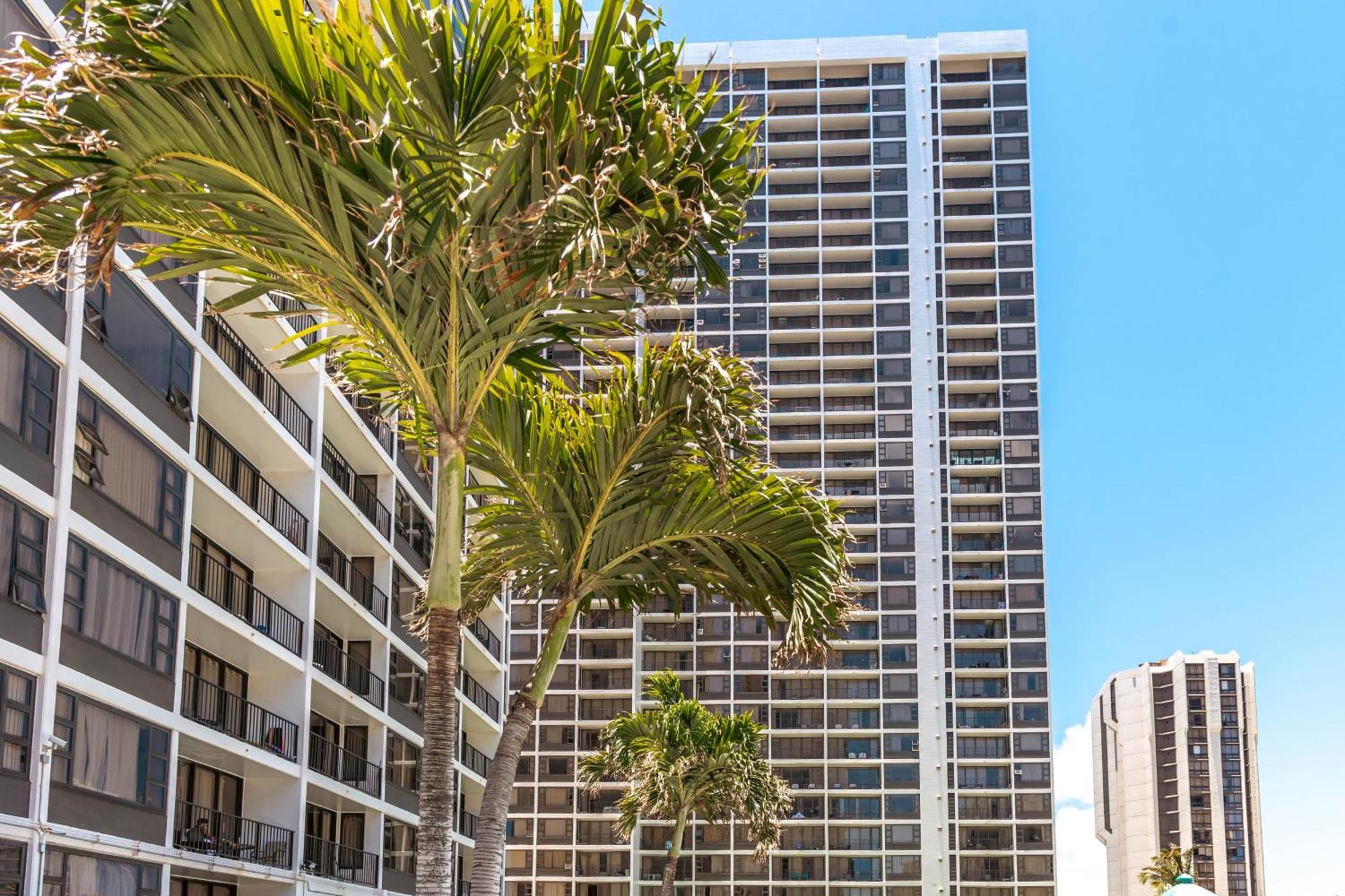 Diamond Head Views Retreat With Free Parking & Near Waikiki Beach! Honolulu Kültér fotó