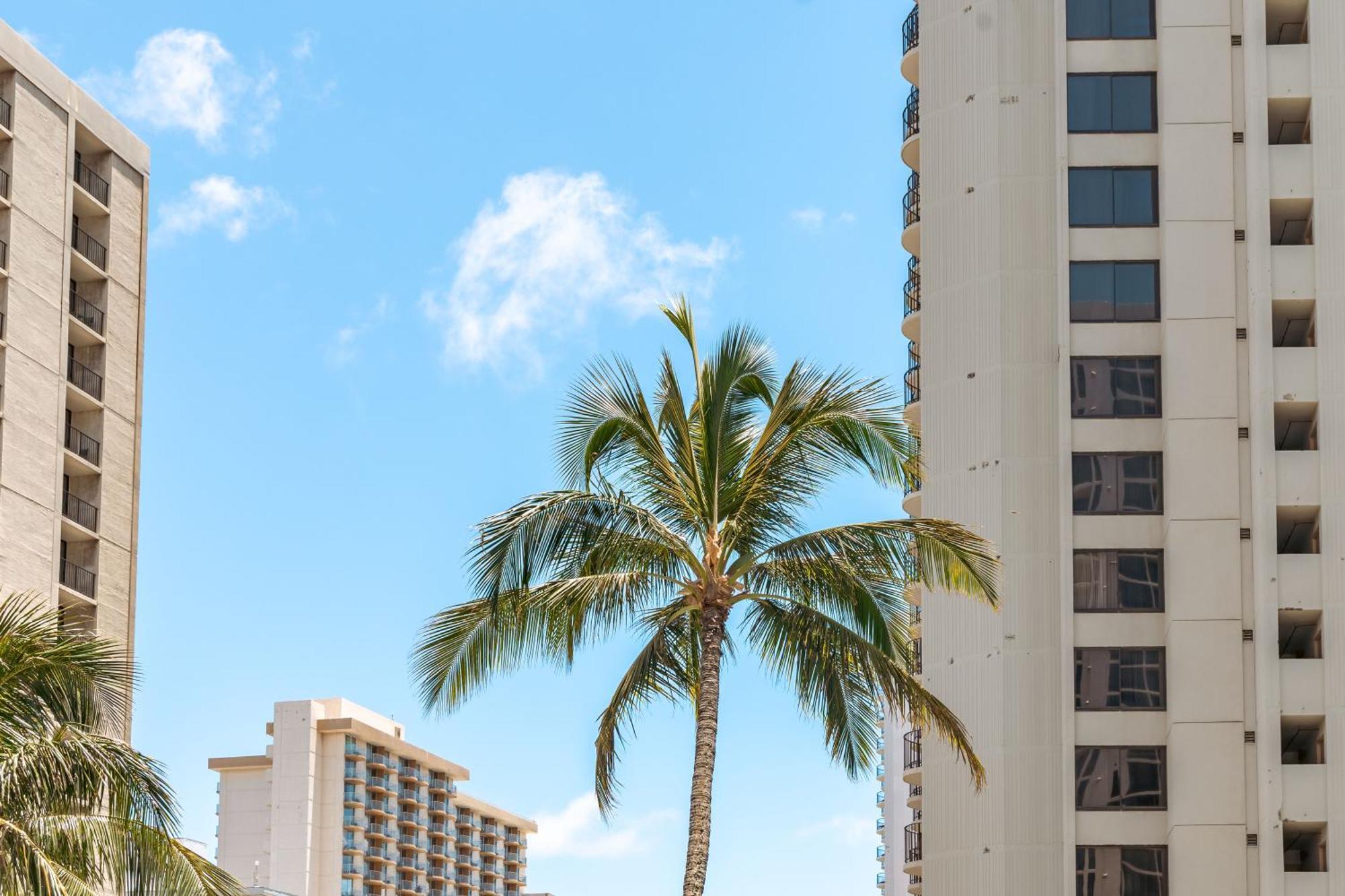 Diamond Head Views Retreat With Free Parking & Near Waikiki Beach! Honolulu Kültér fotó